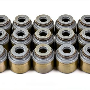 DNJ Valve Stem Seal Viton Premium Set-0