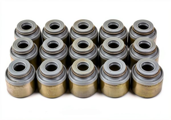 DNJ Valve Stem Seal Viton Premium Set-0