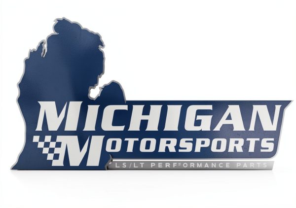 Michigan Motorsports LS LT Beehive Seal Kit 16 Hat-Style OEM Metal-6